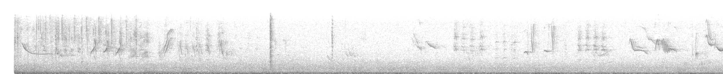 kolibřík širokozobý - ML614996881