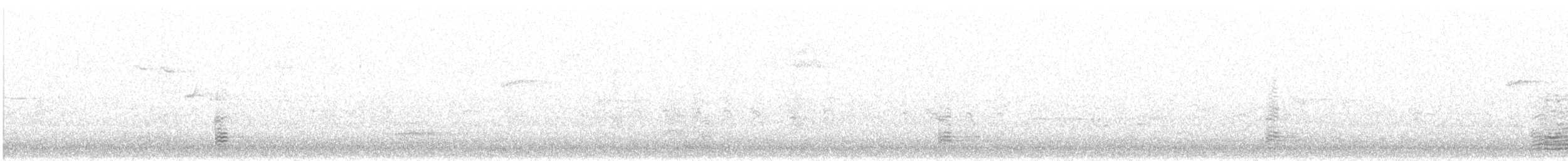 husa krátkozobá - ML615000381