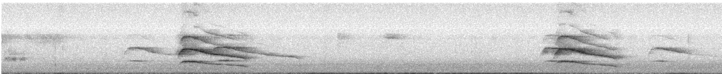 Сизойка чорноголова [група coronata] - ML615001217