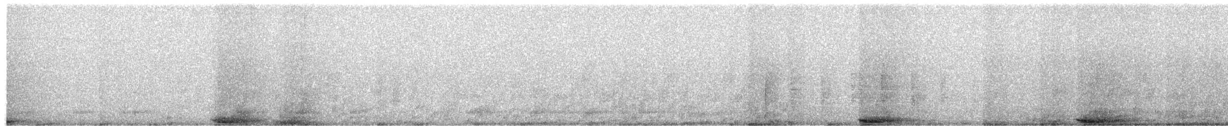 黑冠麻鷺 - ML615002051