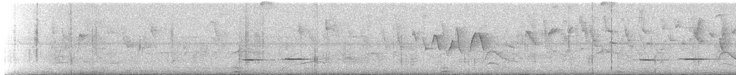 Striped Cuckoo - ML615003541