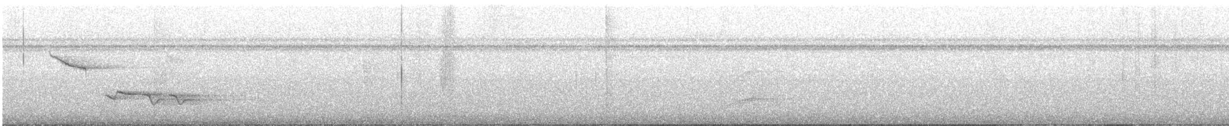 Troglodyte à poitrine blanche - ML615005387