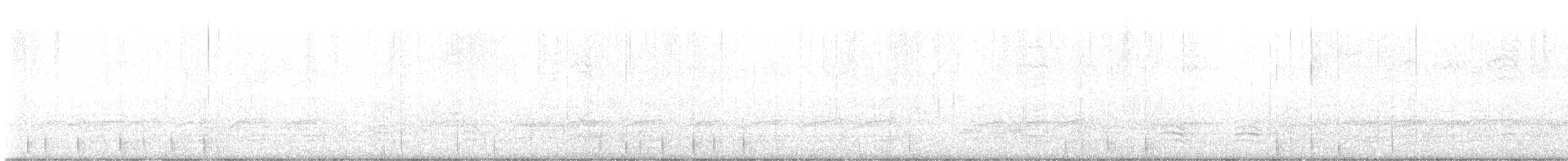 Chouette rayée - ML615011205