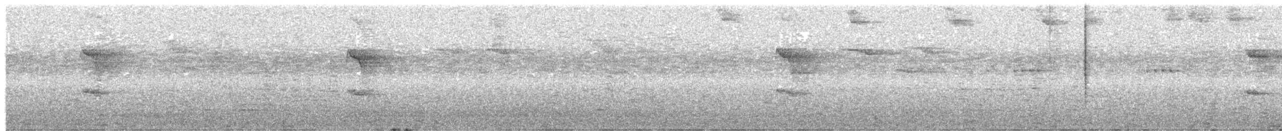 Trepatroncos Oscuro - ML615011630