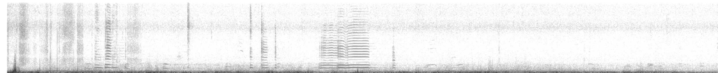 Cisne Trompetero - ML615018450