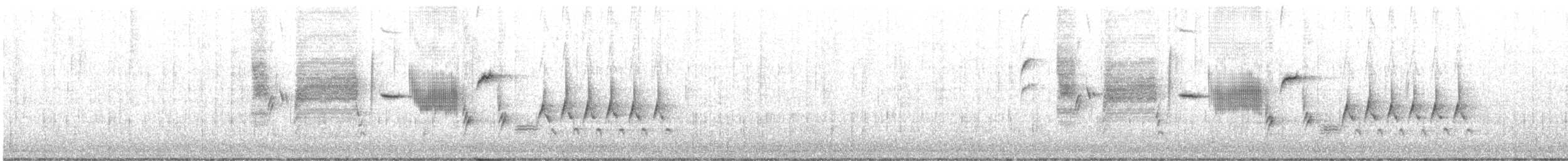 Bewick Çıtkuşu - ML615019332