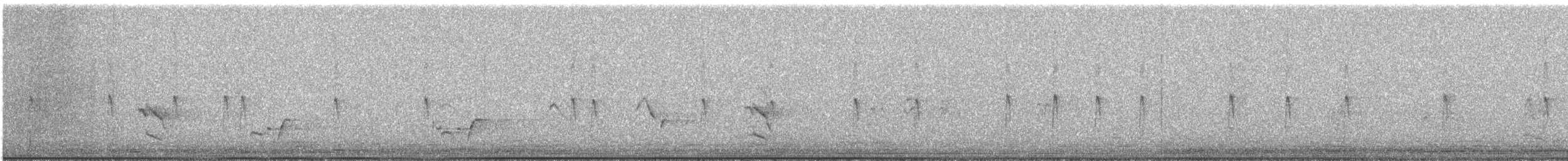 Каролинский крапивник - ML615020054