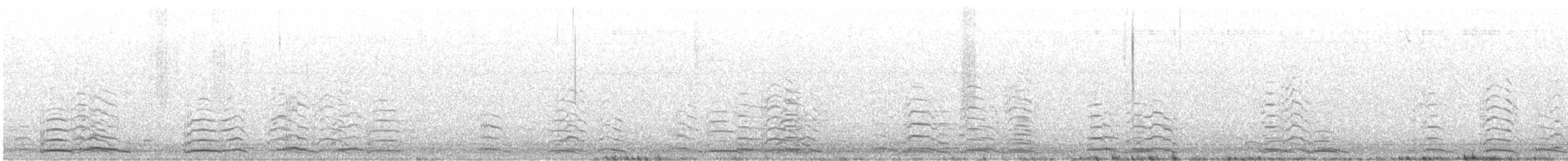 Cygne siffleur - ML615020339