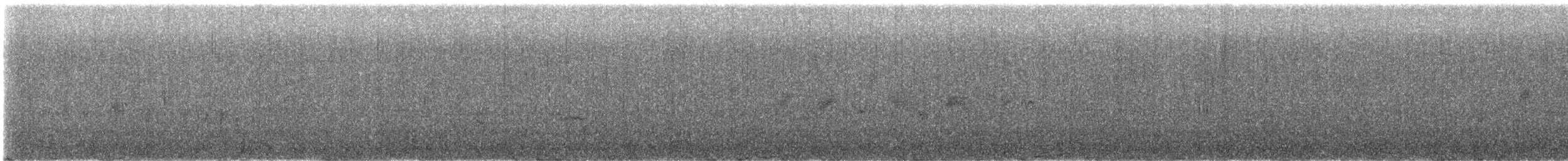 Mirlo Acuático Norteamericano - ML615021128