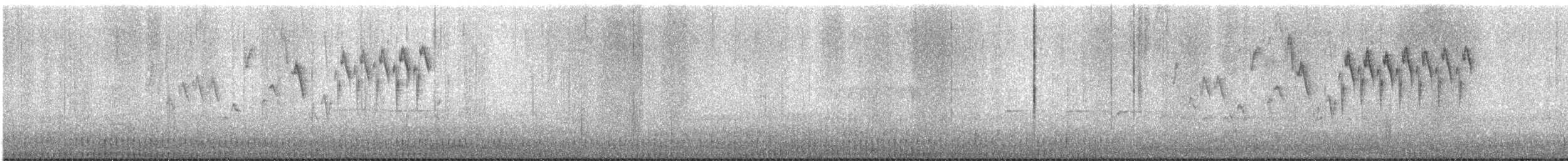 Pacific Wren - ML615023278