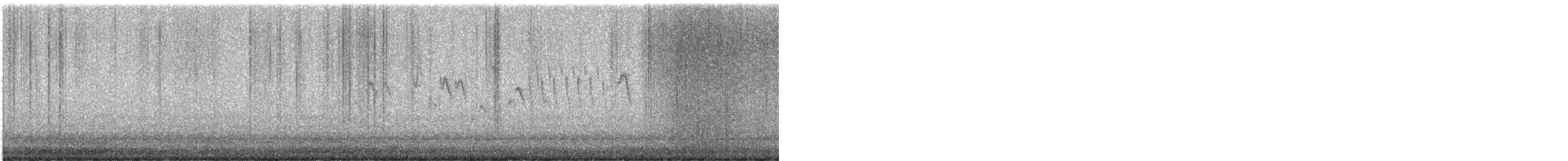 Pacific Wren - ML615023279