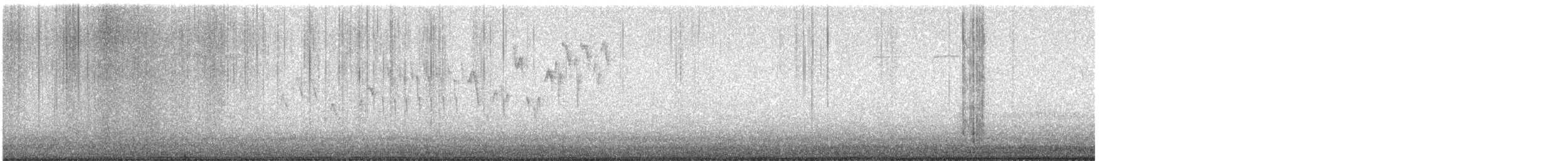 Pacific Wren - ML615023280