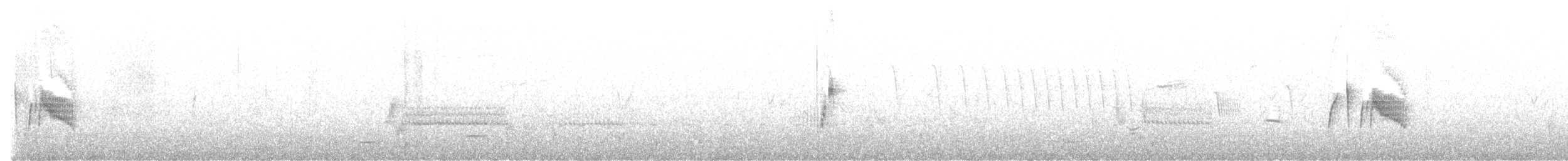 tyranovec vrbový - ML615023330