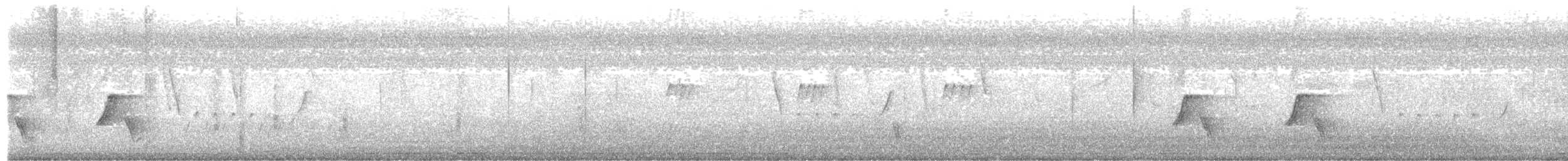 Белоухий крапивник - ML615024336
