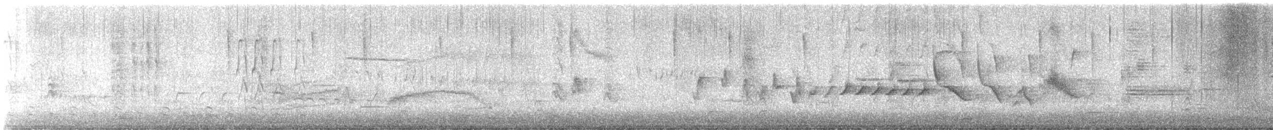 House Finch - ML615024714