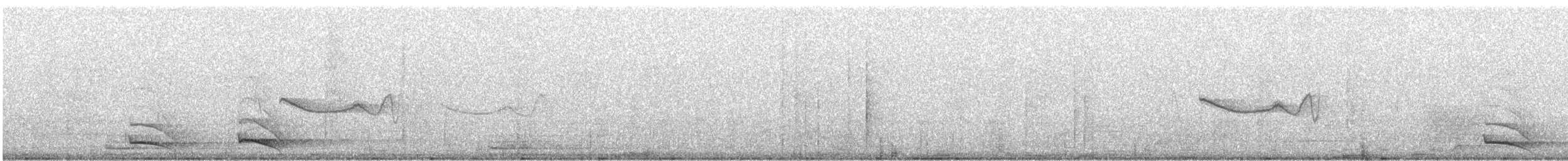 Ошейниковый трогон (puella) - ML615026119