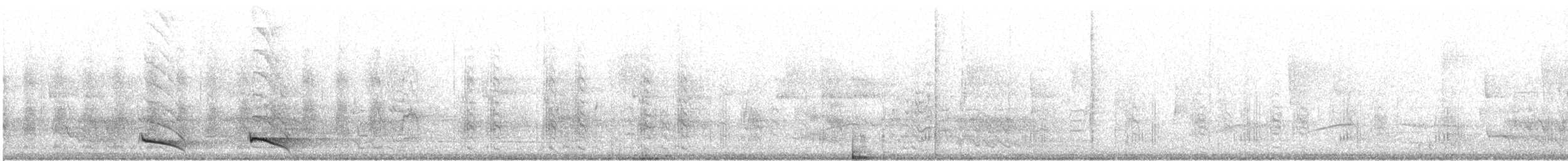 Ошейниковый трогон (puella) - ML615026174