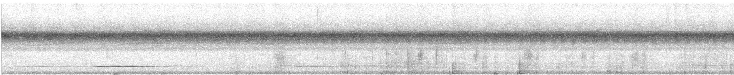 Thicket Tinamou (cinnamomeus Group) - ML615027118