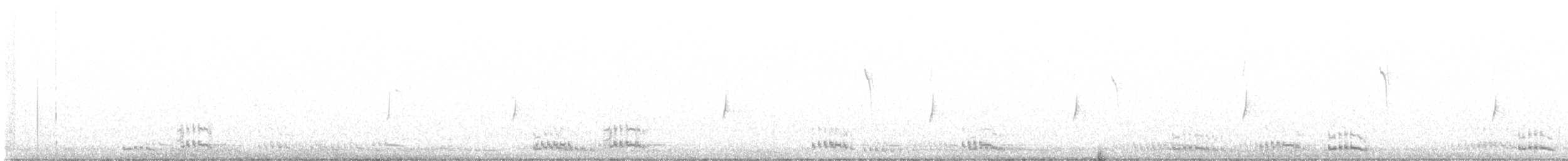 ネズミメジロハエトリ - ML615028145