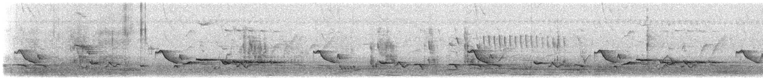 Тирч плямистоволий - ML615029762