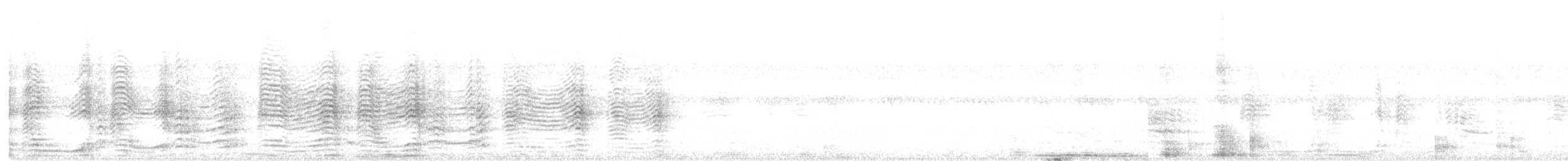 Cory's Shearwater (borealis) - ML615034226