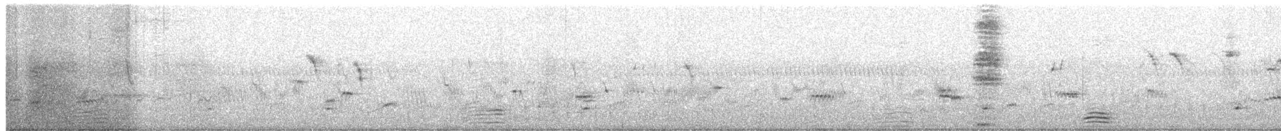Сероголовая султанка - ML615036026