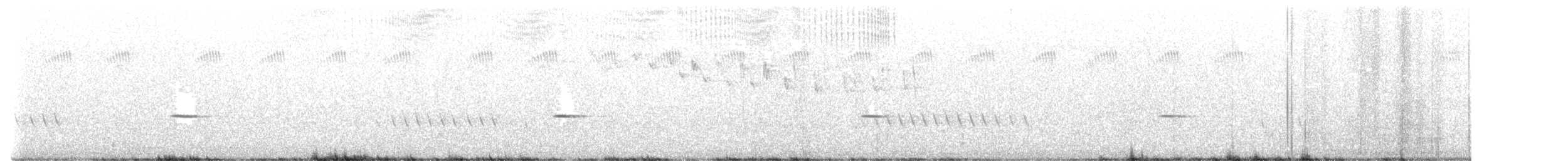 Fleckenpanthervogel - ML615038011