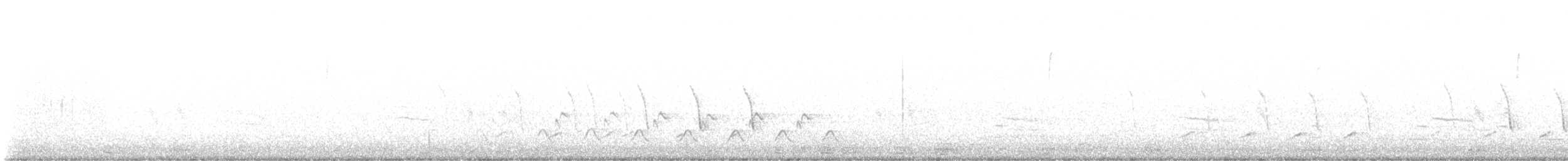 Northern Cardinal - ML615039196