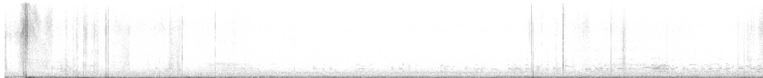 אווז לבן-מצח - ML615042710