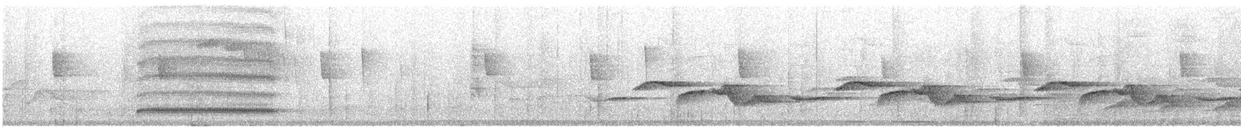 Серогрудый крючкоклюв - ML615043594