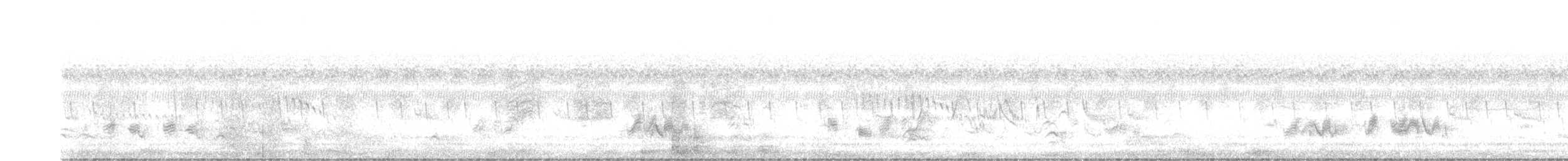 halsbåndfrankolin - ML615043620