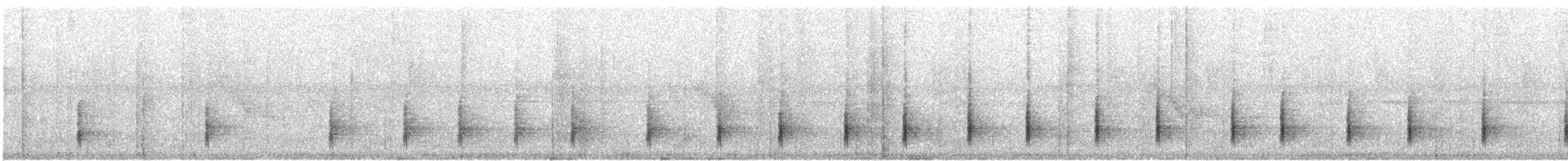 Ak Karınlı Çıtkuşu [leucogastra grubu] - ML615043678