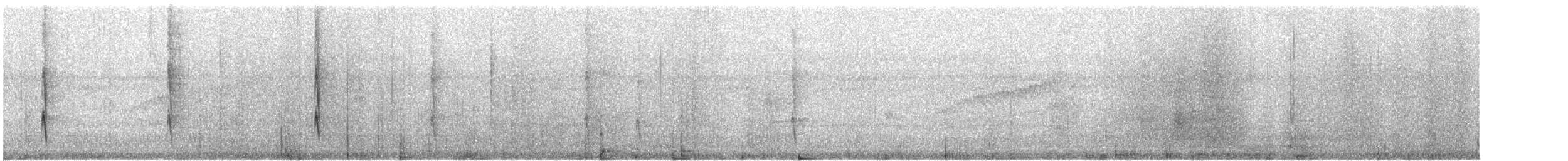 Колібрі-шаблекрил юкатанський (підвид pampa) - ML615043813