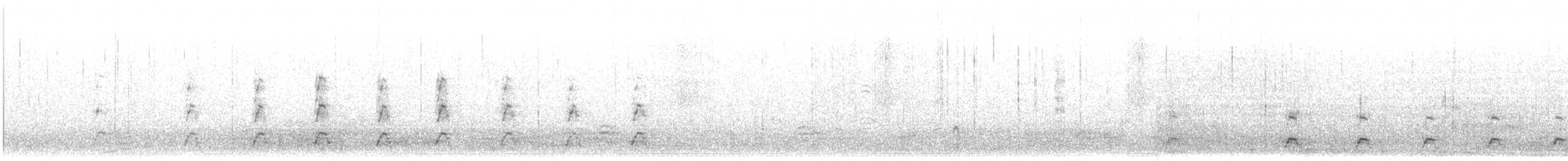 Cygne à cou noir - ML615044182
