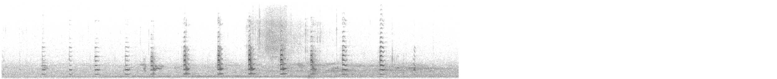 Белокрылая лысуха - ML615044193