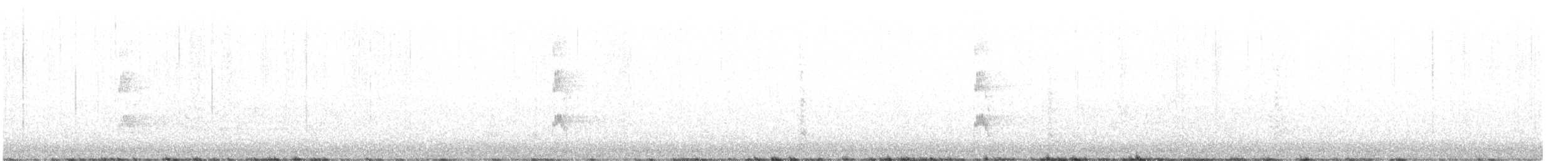 strakapoud kokardový - ML615045630
