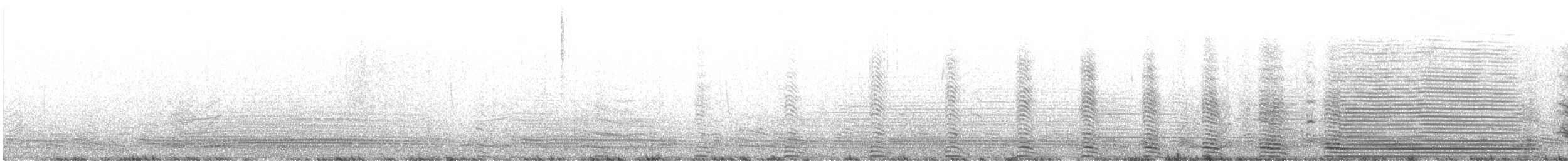tučňák magellanský - ML615046213