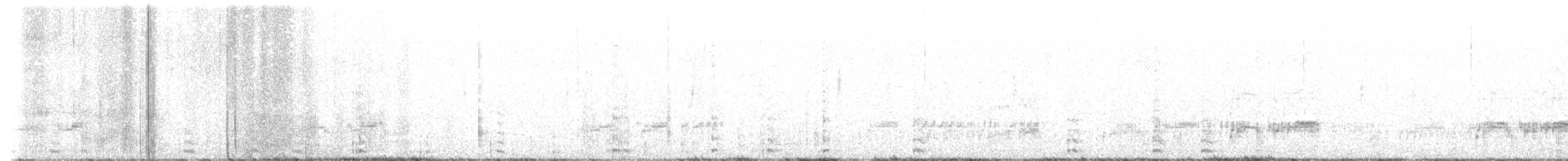 Western Grebe - ML615046560