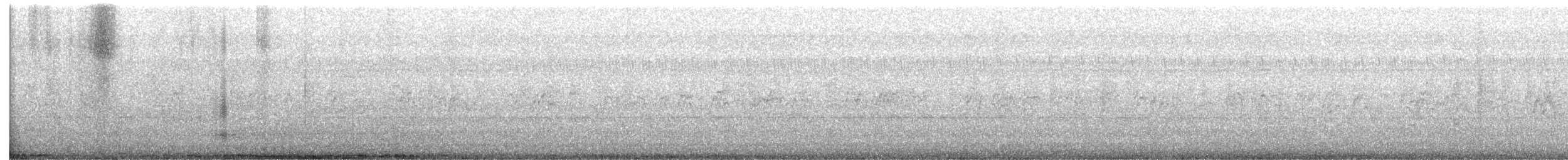 Dendrocygne siffleur - ML615049092