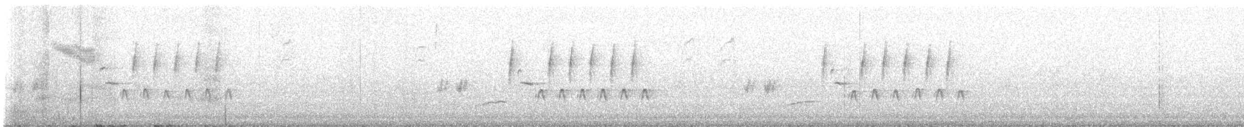 Troglodyte de Bewick - ML615053294