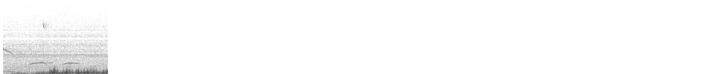Tinamou élégant - ML615056471