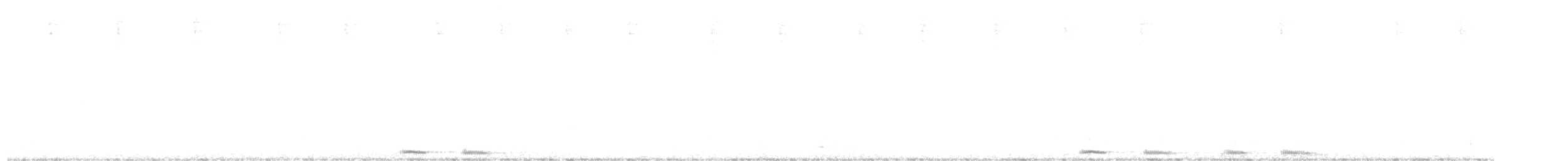 Сова-голконіг австралійська - ML615059808