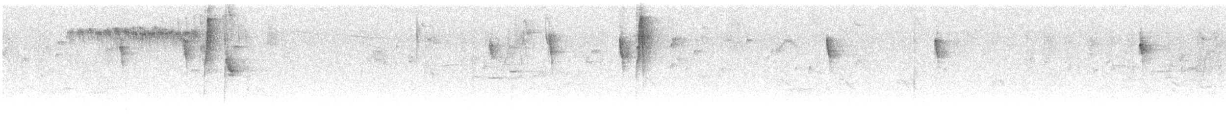 Chlorospin à sourcils brisés - ML615064803