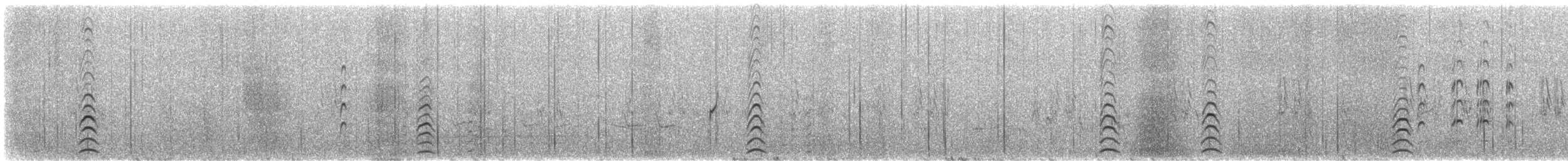 Weißgesicht-Stelzenläufer - ML615069296