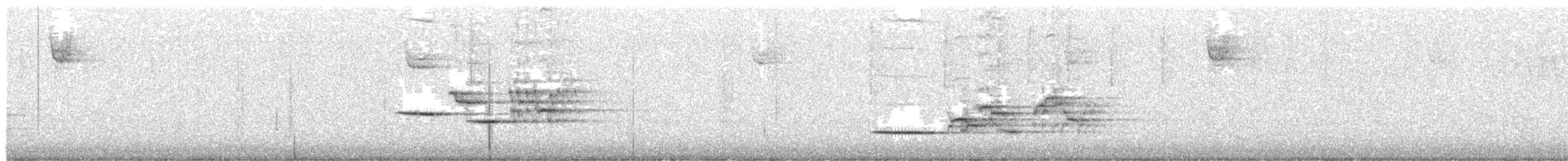 Дрізд-короткодзьоб плямистоволий - ML615069897