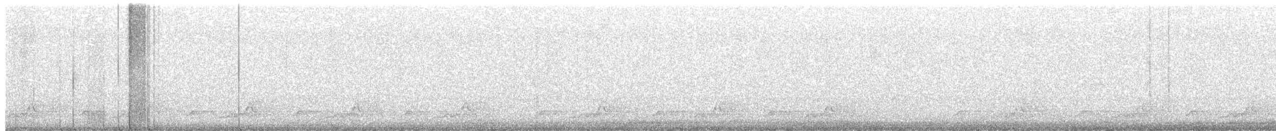 Schwarzkehl-Nachtschwalbe - ML615076970