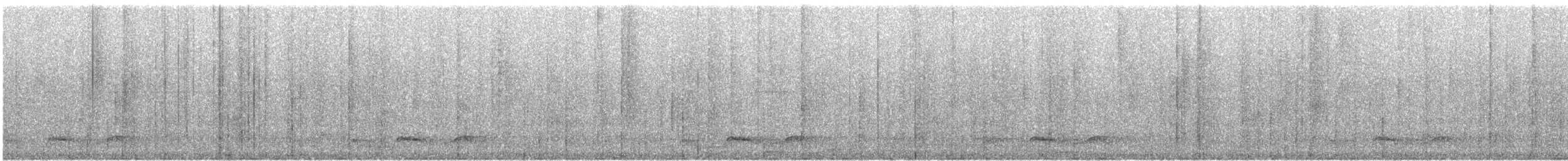 Belizenachtschwalbe - ML615077976