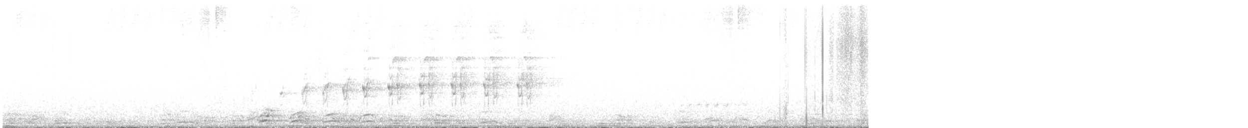 Chevêchette australe - ML615080744
