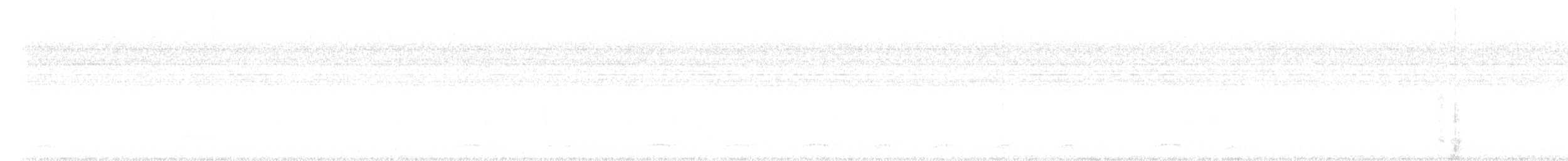 モリスズメフクロウ - ML615084276