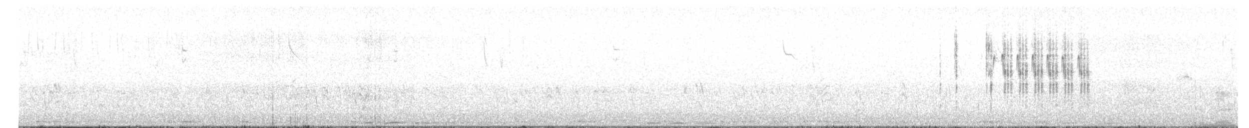 Травяной крапивник [группа elegans] - ML615089074